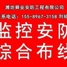 深耕果業沃土，科技引領未來——記榮成市果樹技術推廣站馬道分站的實踐與探索